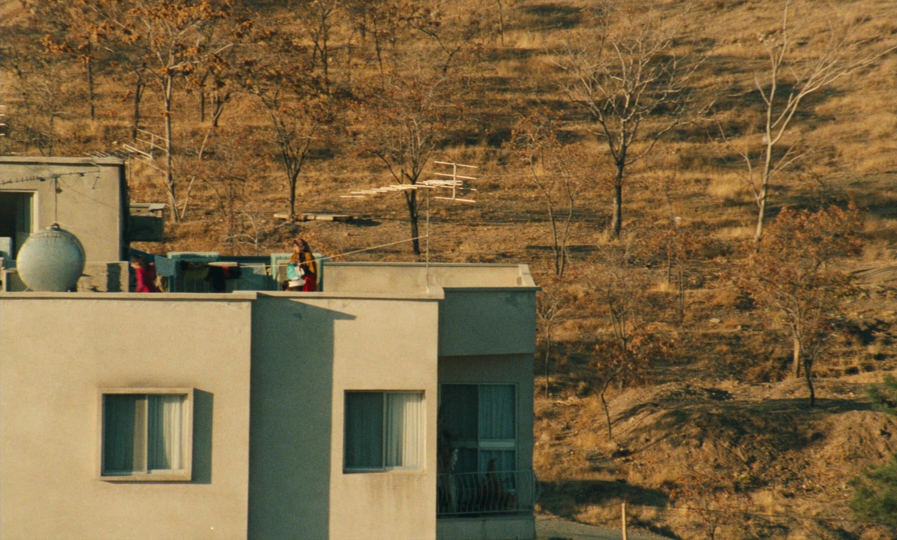 Ta'm e guilass (1997), wide, 1.66:1 — film still