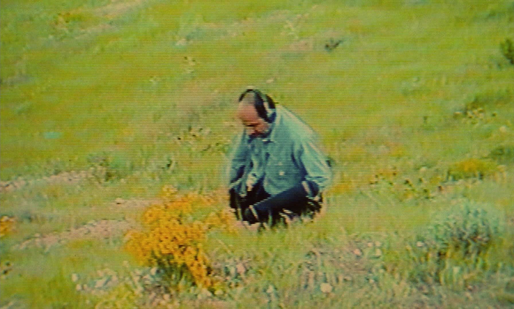 Ta'm e guilass (1997), wide, 1.66:1 — film still