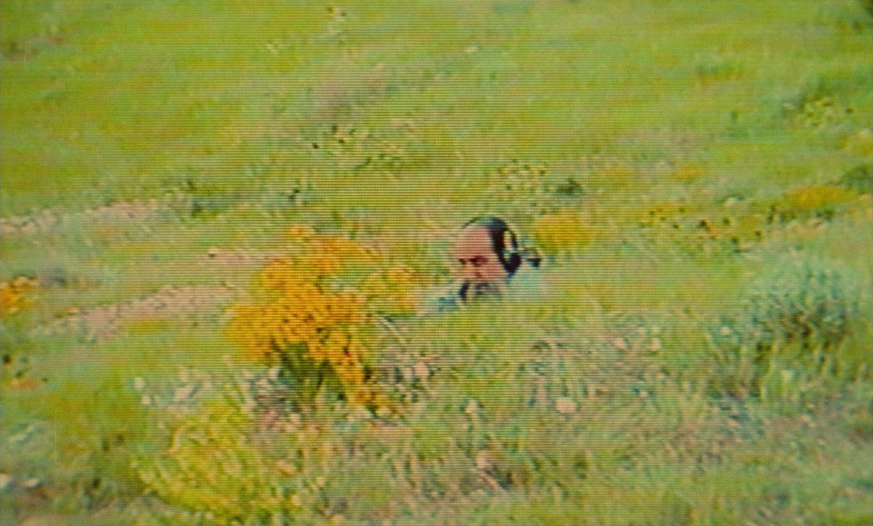 Ta'm e guilass (1997), wide, 1.66:1 — film still