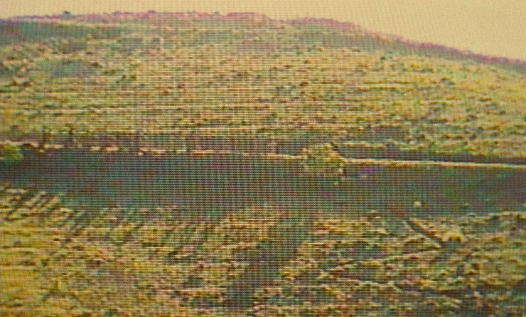 Ta'm e guilass (1997), unknown, 1.66:1 — film still