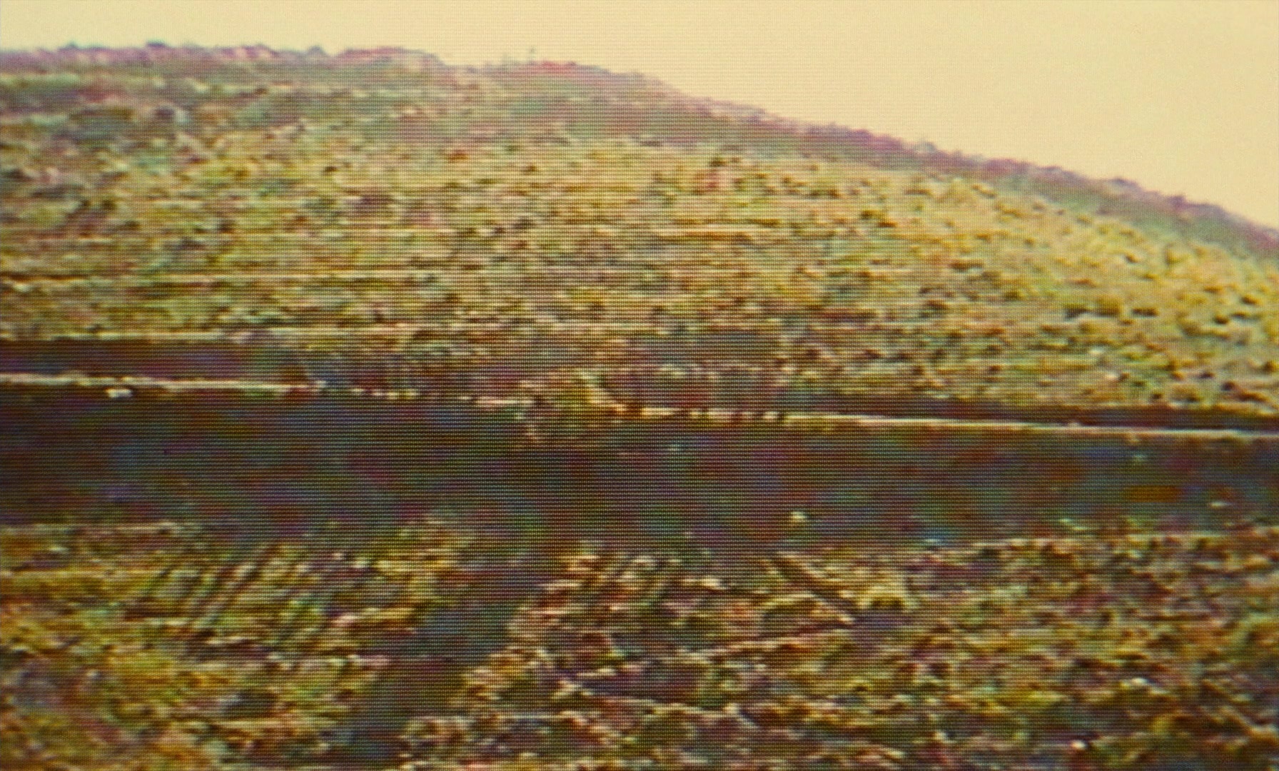 Ta'm e guilass (1997), wide, 1.66:1 — film still