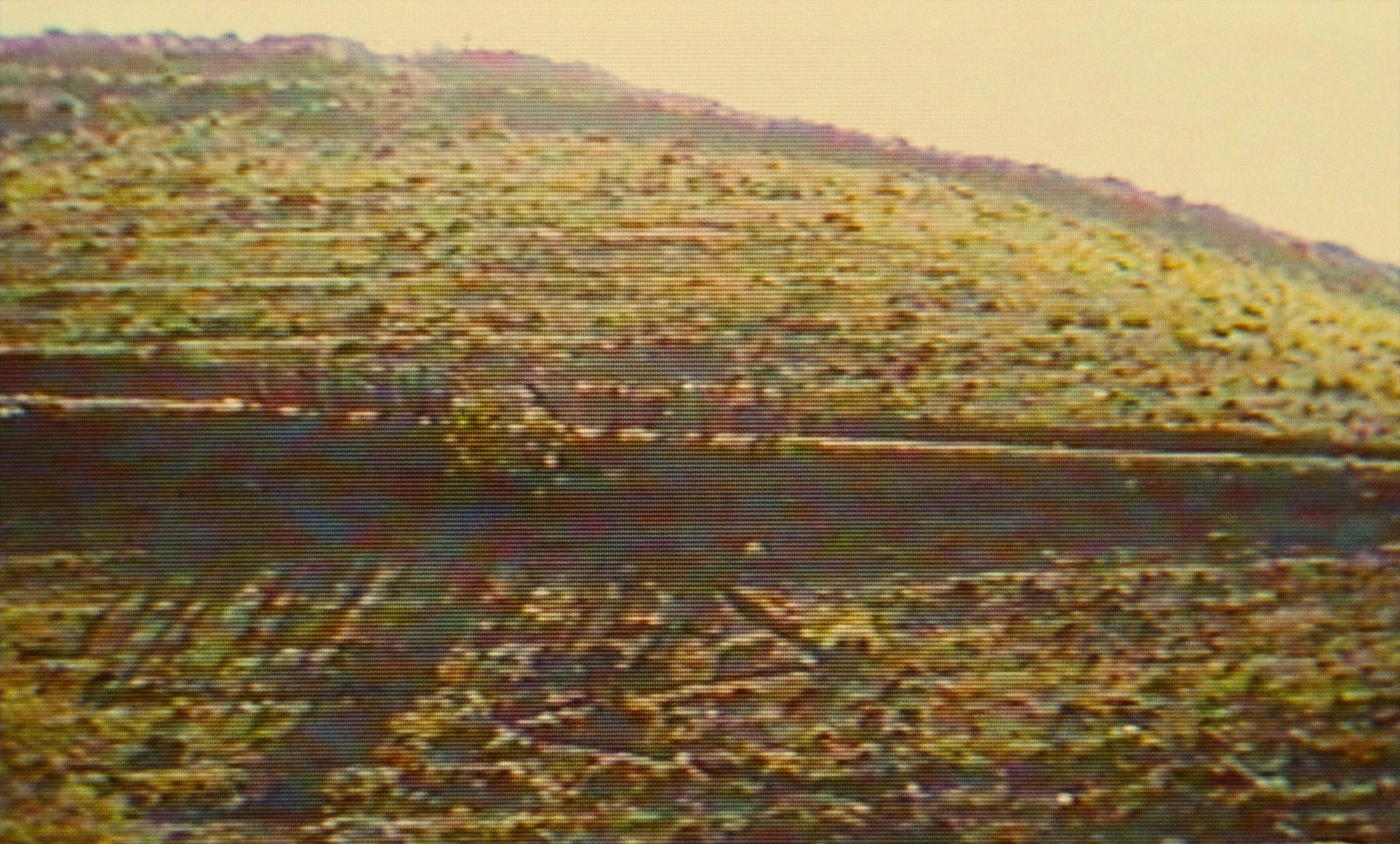 Ta'm e guilass (1997), unknown, 1.66:1 — film still
