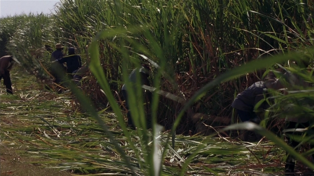 Striptease — film still
