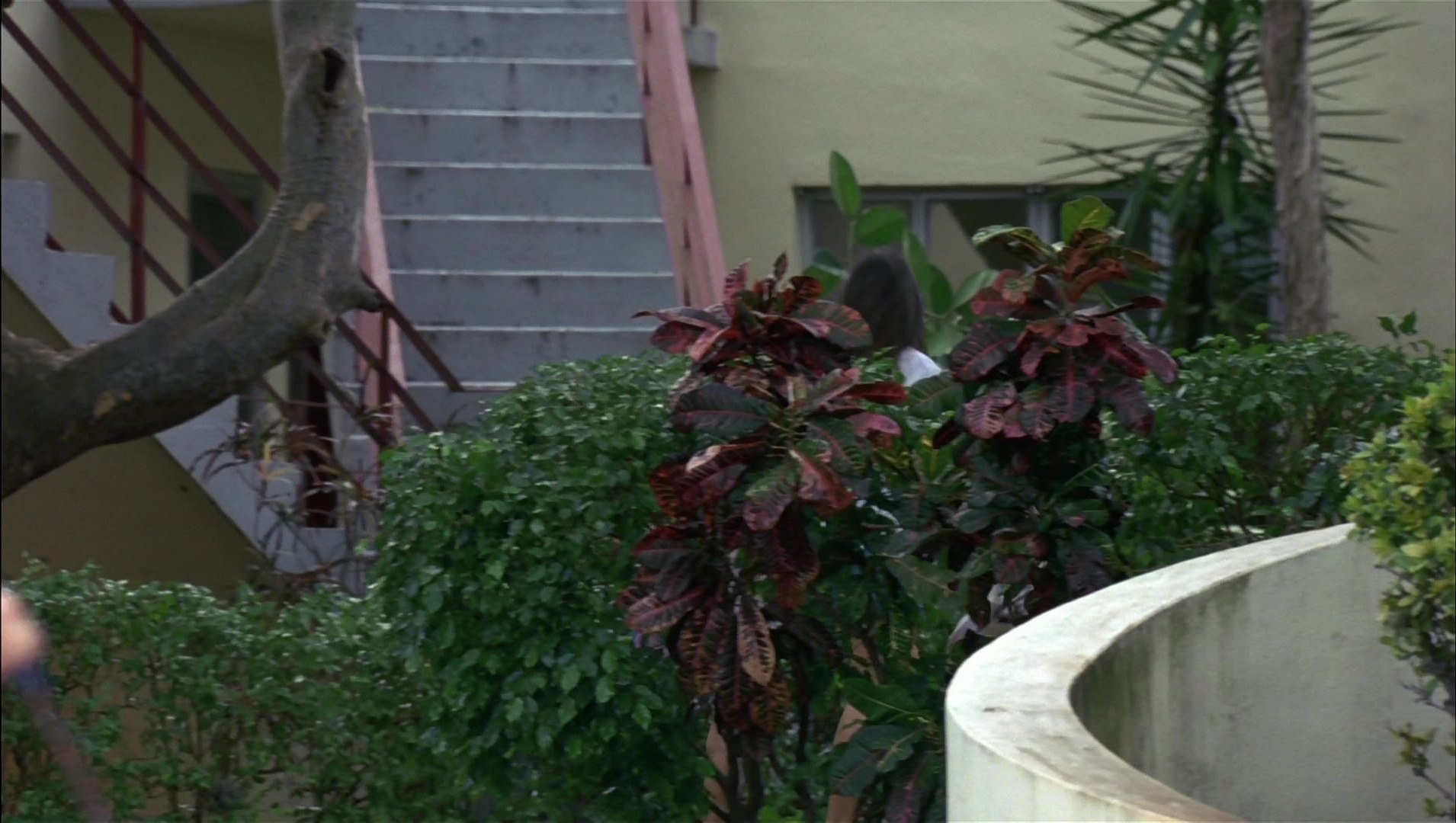 Striptease (1996), unknown, 1.77:1 — film still