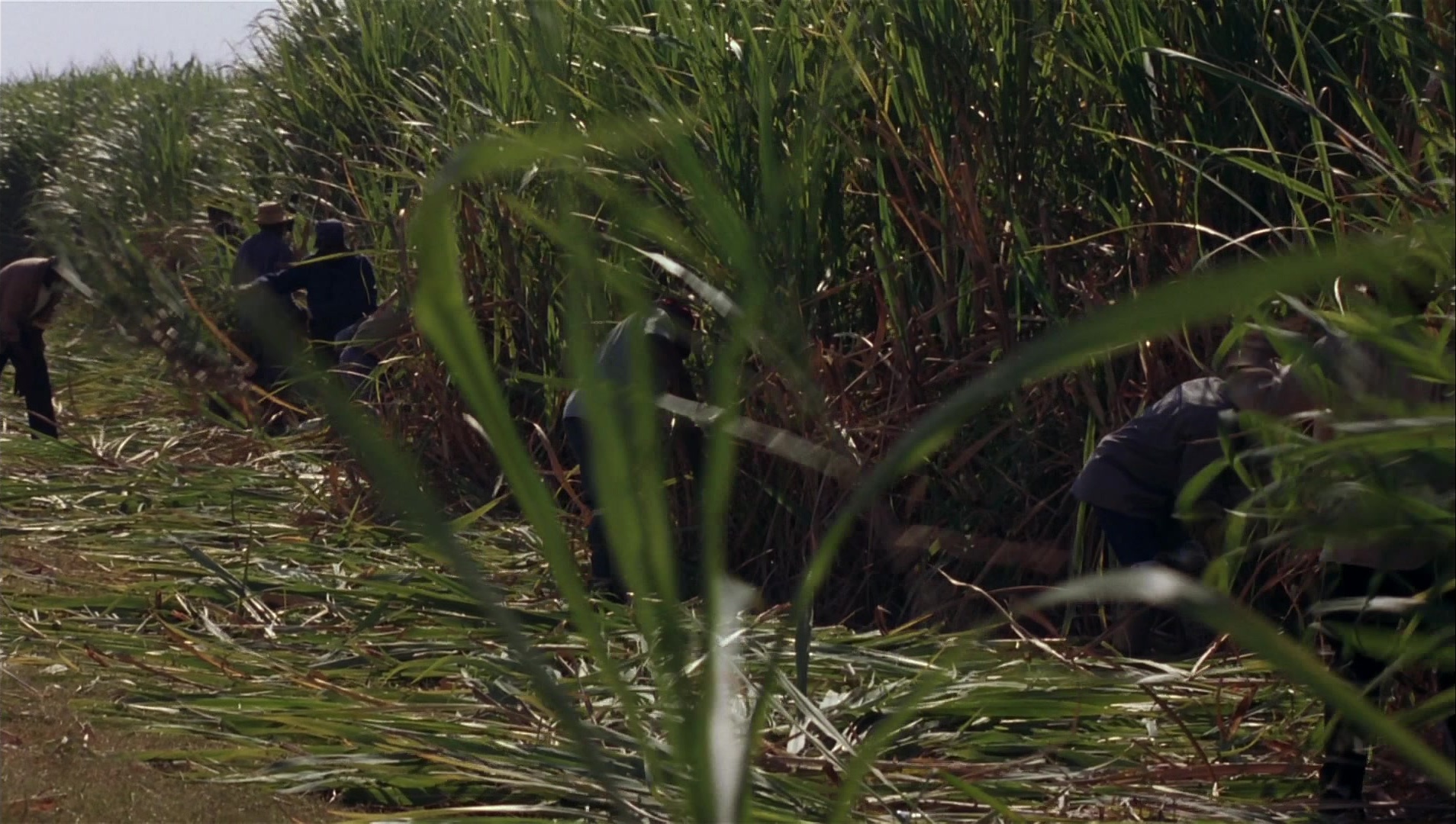 Striptease (1996), wide, 1.77:1 — film still