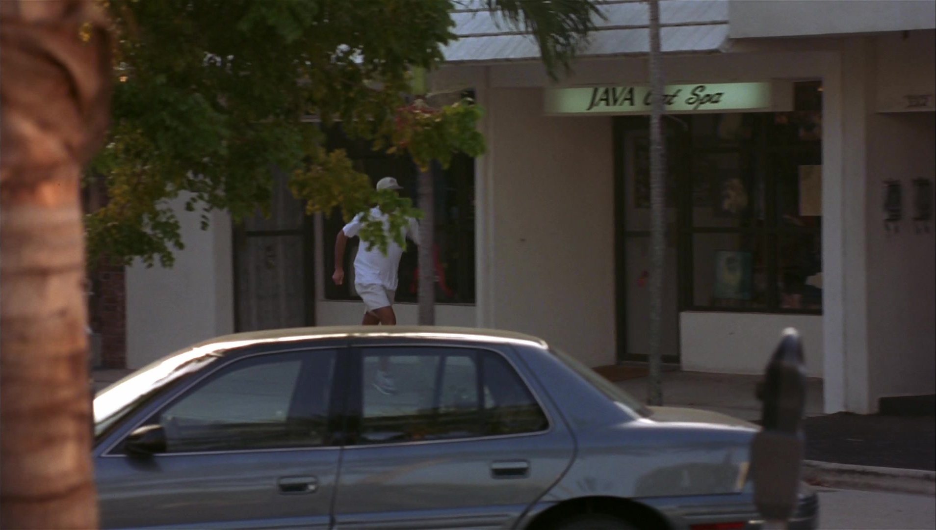 Striptease (1996), wide, 1.77:1 — film still