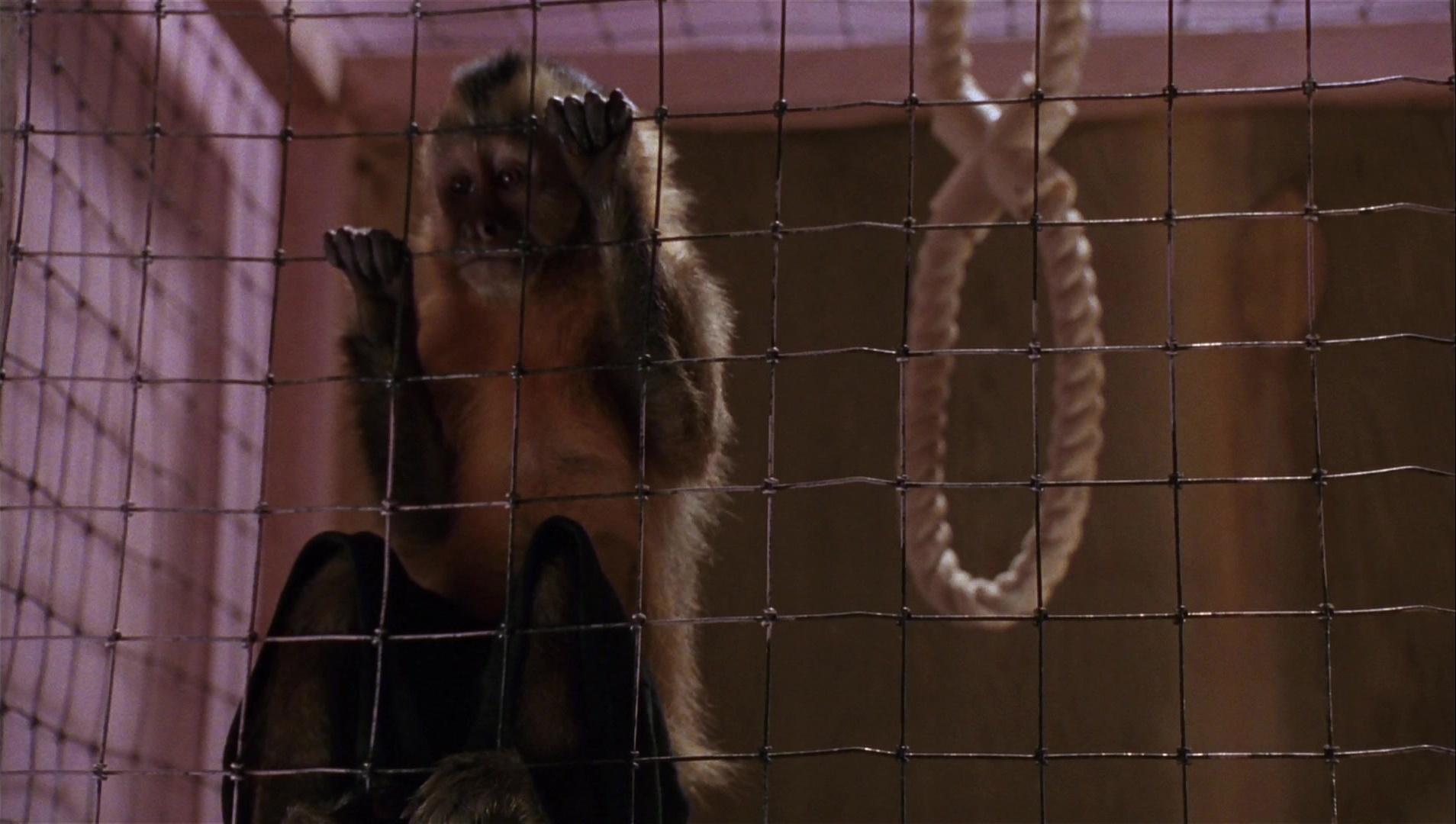 Striptease (1996), wide, 1.77:1 — film still
