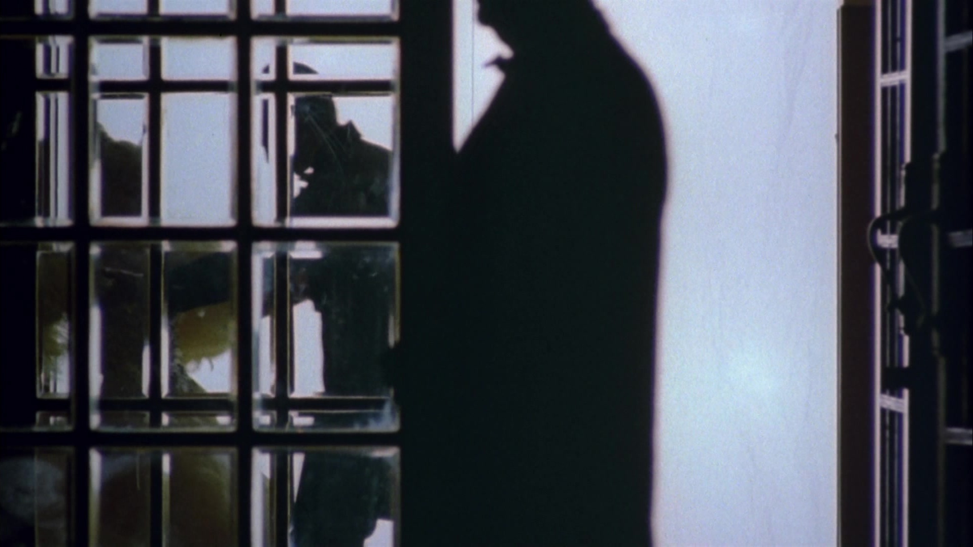 Strictly Ballroom (1992), unknown, 1.78:1 — film still