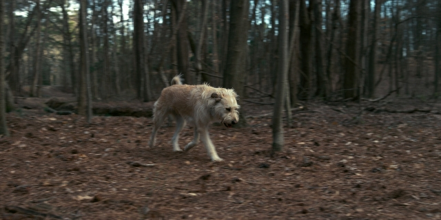 Wide shot frame from Stranger Things — walking, dog, coat