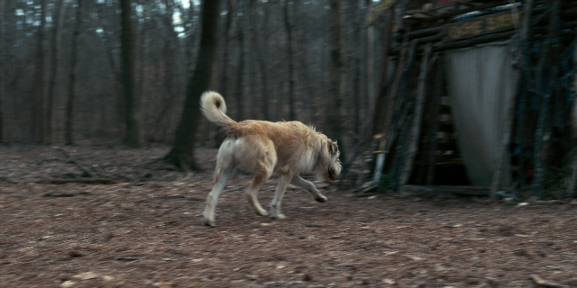 Wide shot frame from Stranger Things — dog, coat, restaurant