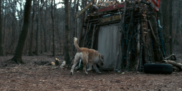 Wide shot frame from Stranger Things — dog, coat, restaurant