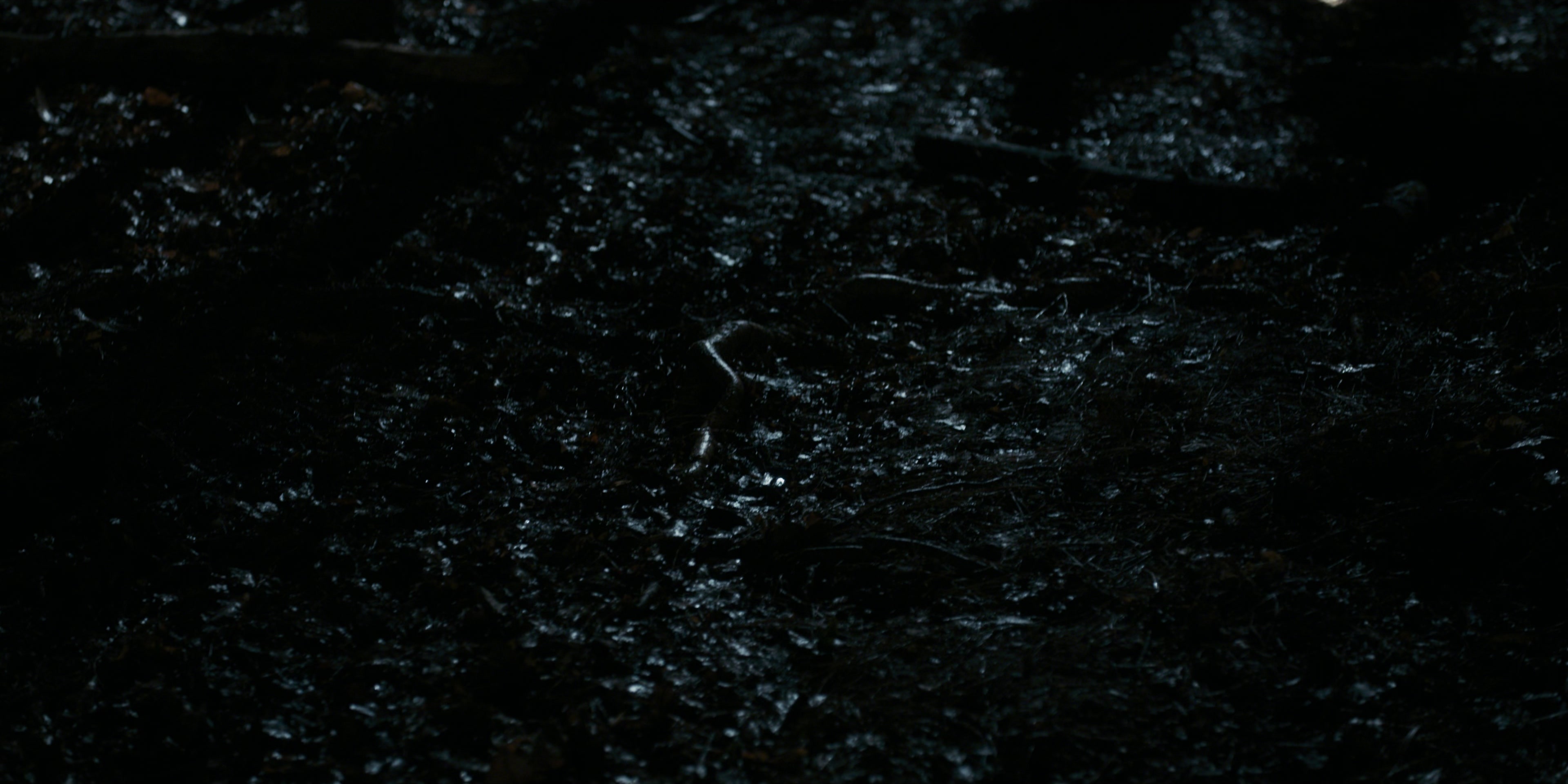 Stranger Things (2016), wide, 2.00:1 — film still