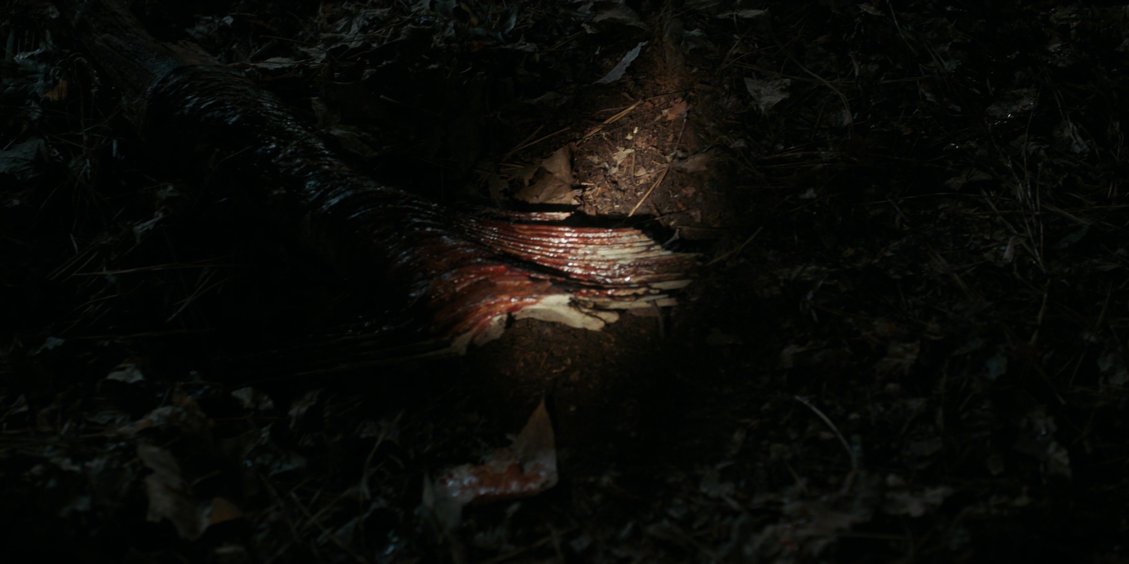 Stranger Things (2016), wide, 2.00:1 — film still