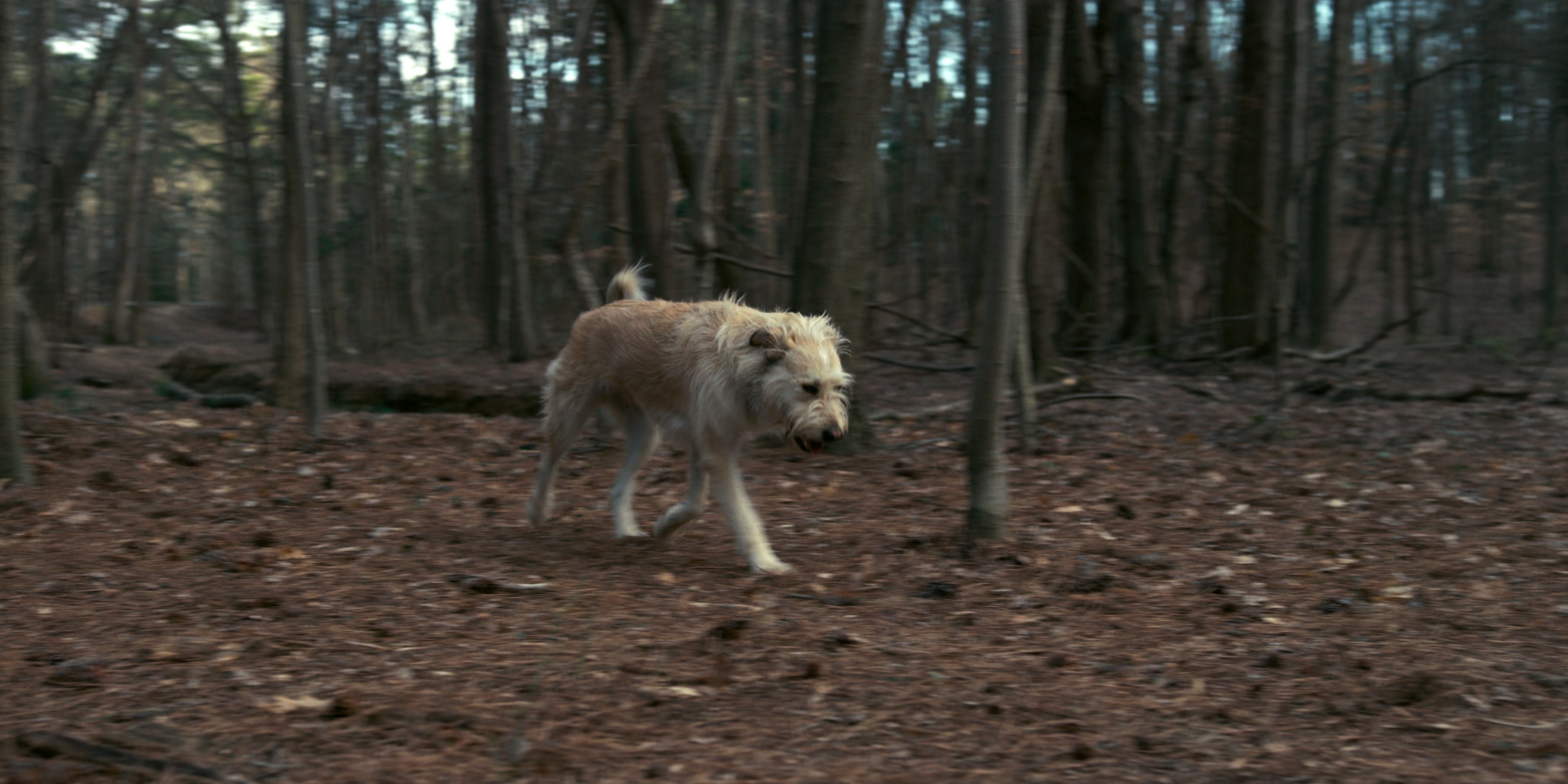 Stranger Things (2016), wide, 2.00:1 — film still