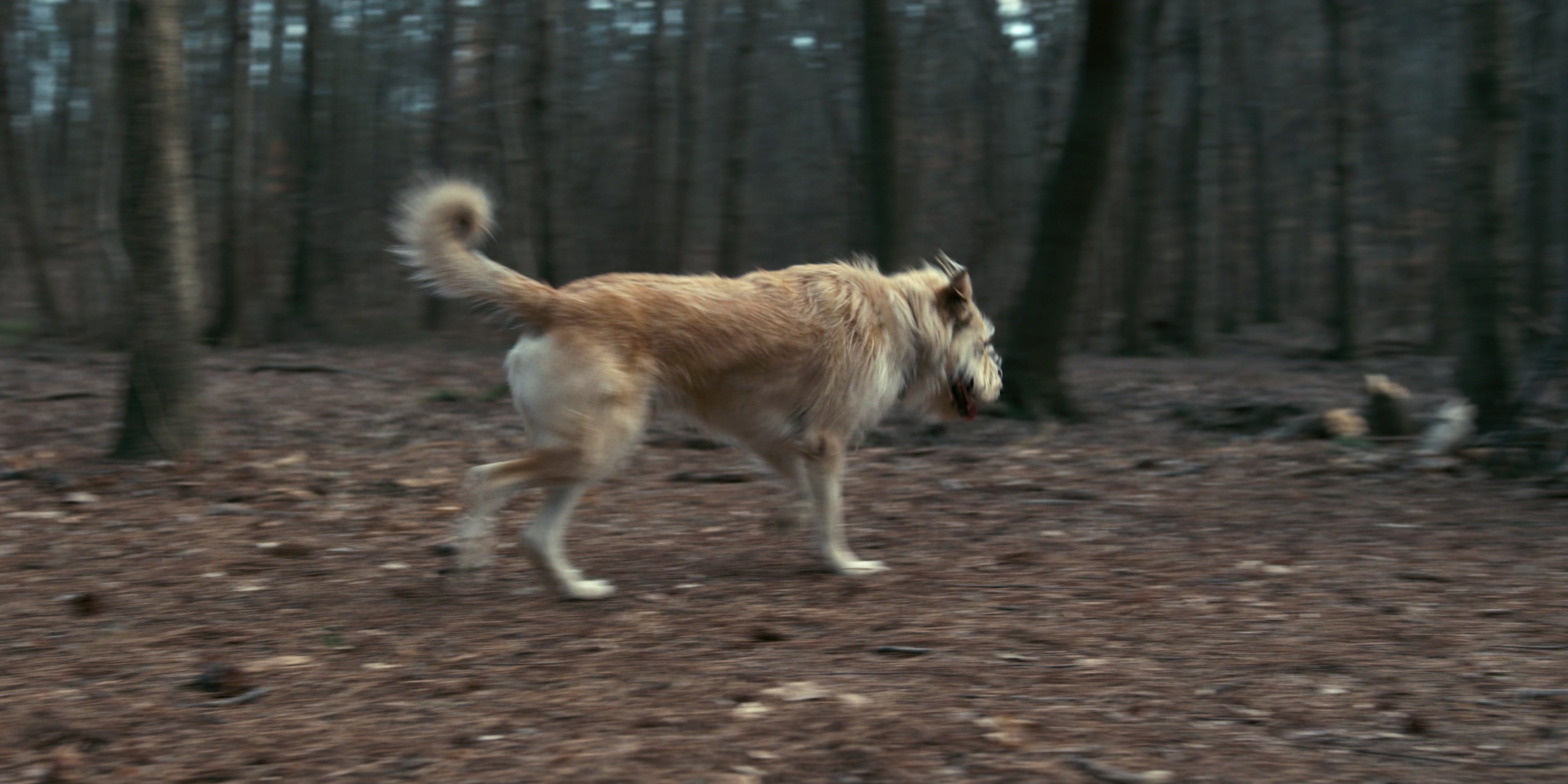 Stranger Things (2016), wide, 2.00:1 — film still