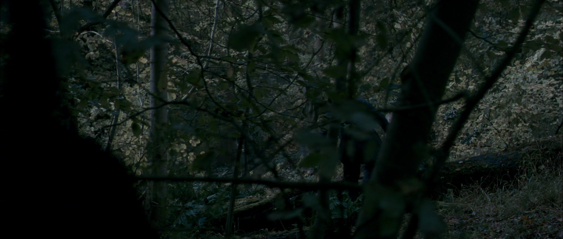 The Woman in Black (2012), wide, 2.35:1 — film still