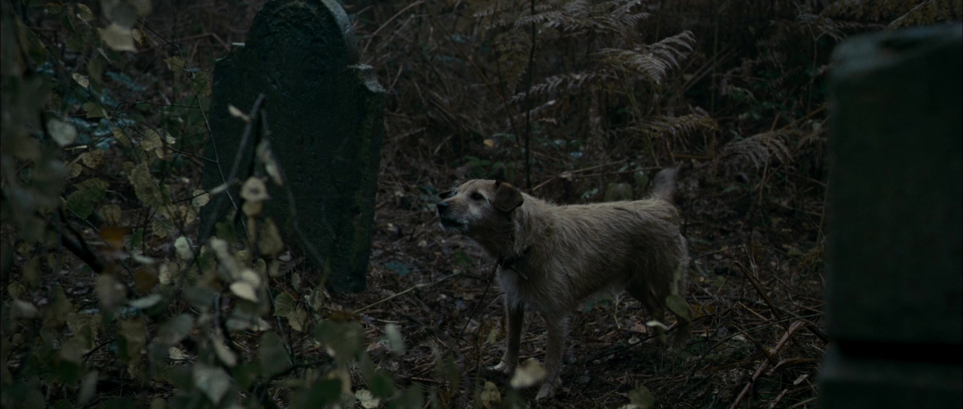 The Woman in Black (2012), wide, 2.35:1 — film still