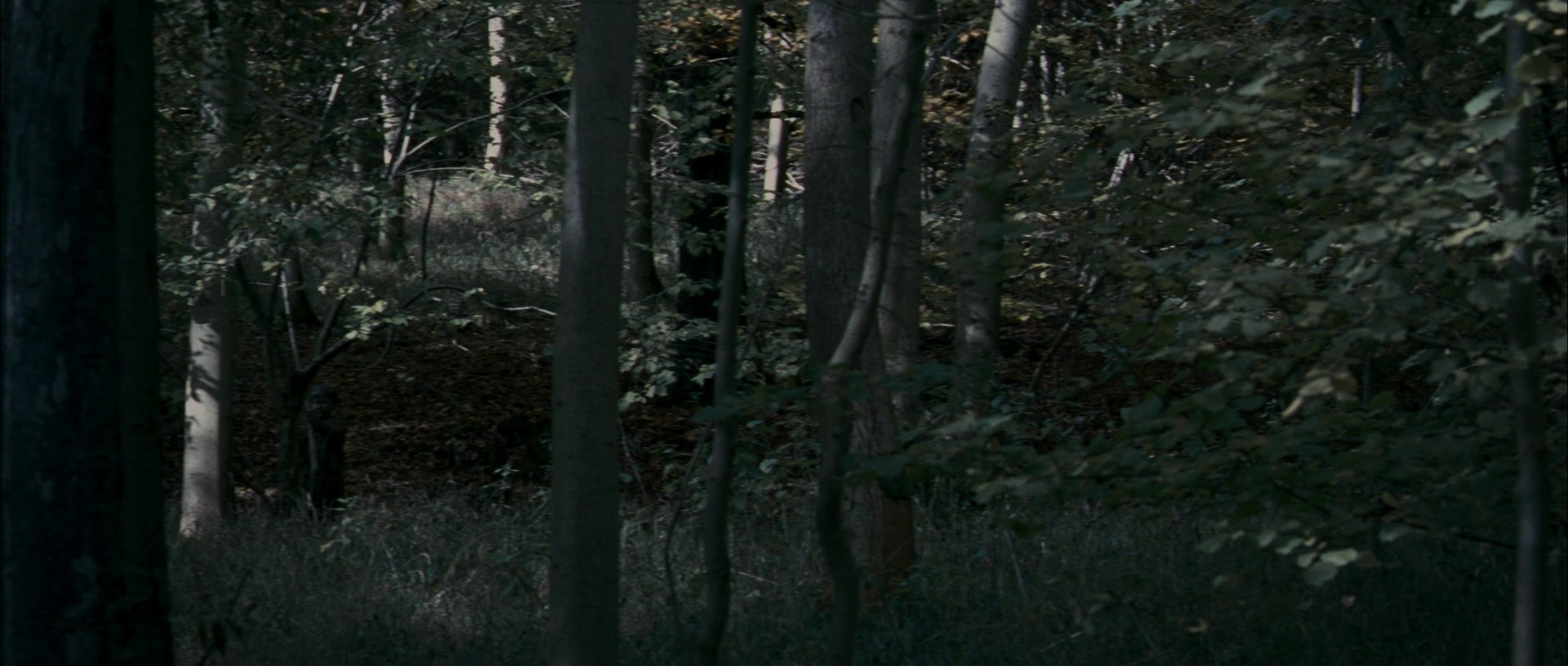 The Woman in Black (2012), wide, 2.35:1 — film still
