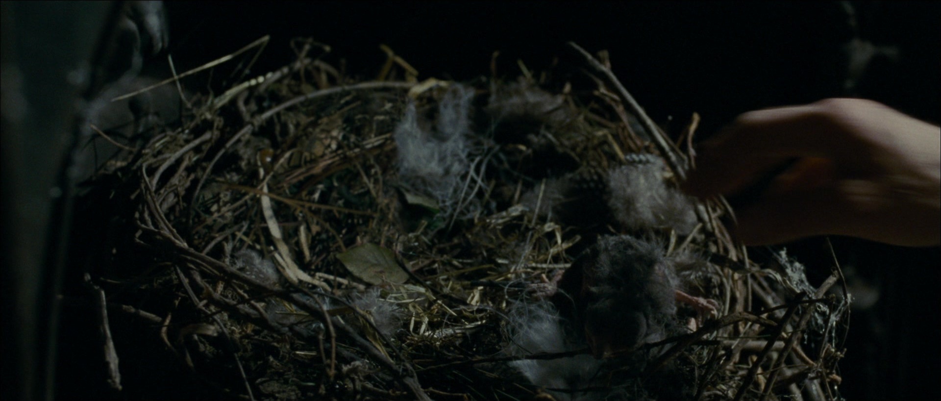 The Woman in Black (2012), unknown, 2.35:1 — film still