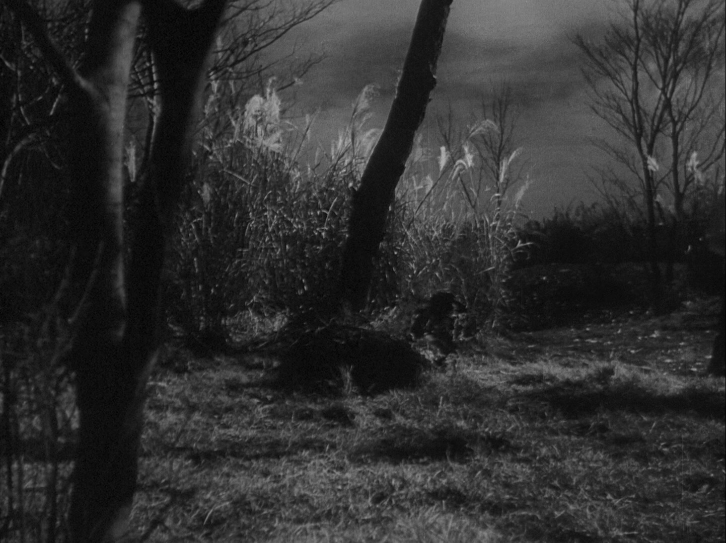 Sansho dayu (1954), wide, 1.34:1 — film still