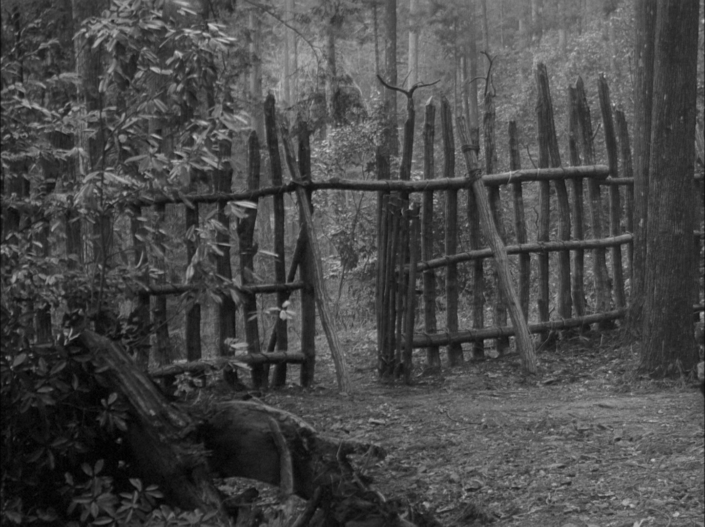 Sansho dayu (1954), wide, 1.34:1 — film still