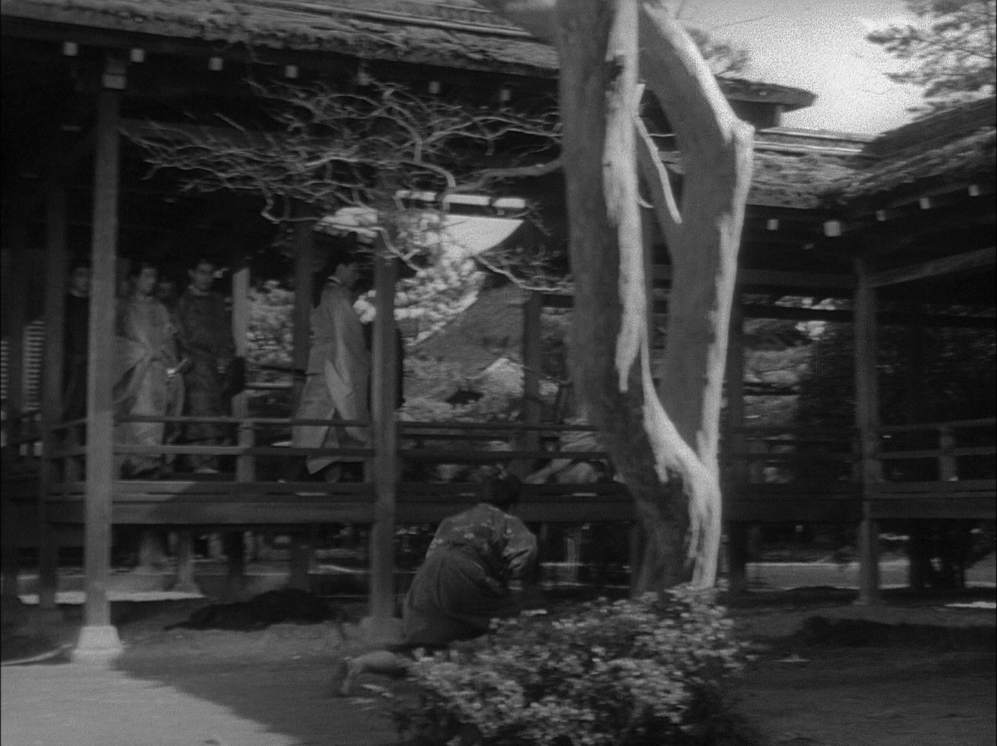 Sansho dayu (1954), wide, 1.34:1 — film still