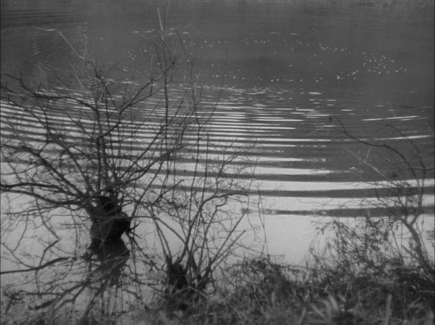 Sansho dayu (1954), wide, 1.34:1 — film still