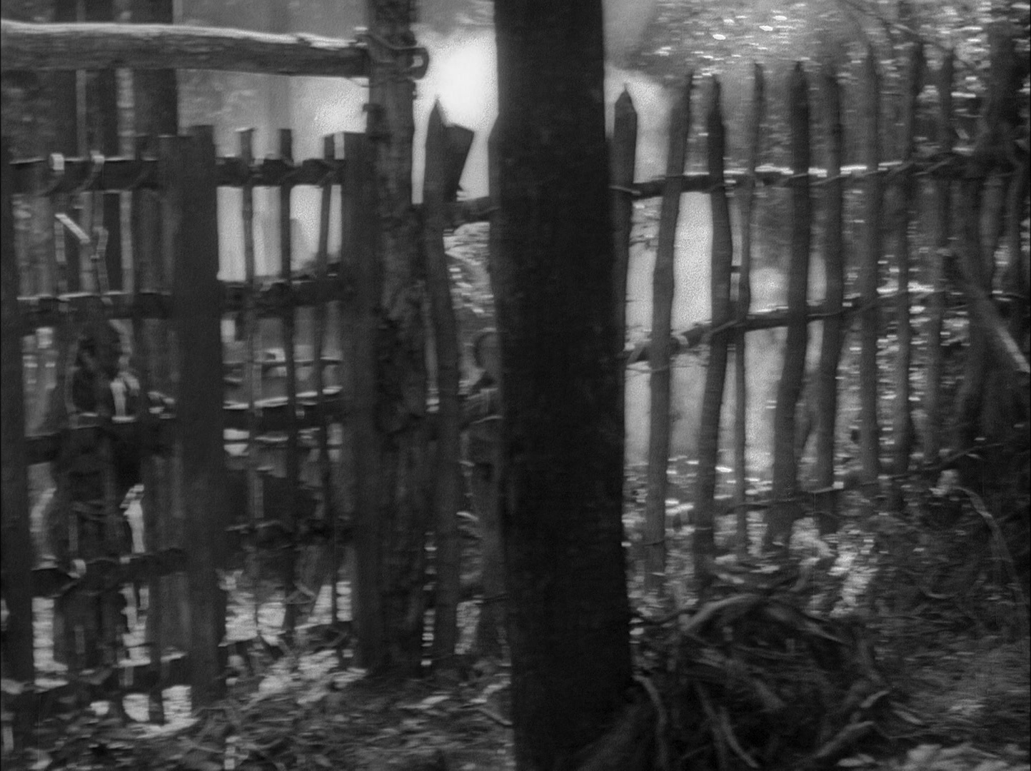 Sansho dayu (1954), wide, 1.34:1 — film still