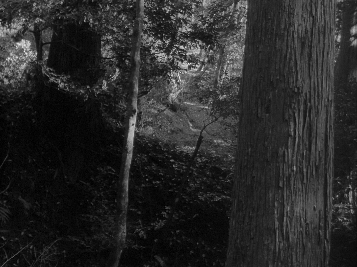Sansho dayu (1954), wide, 1.34:1 — film still