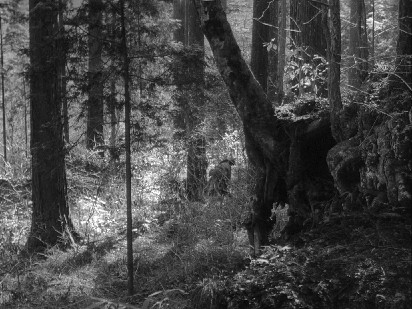 Sansho dayu (1954), wide, 1.34:1 — film still