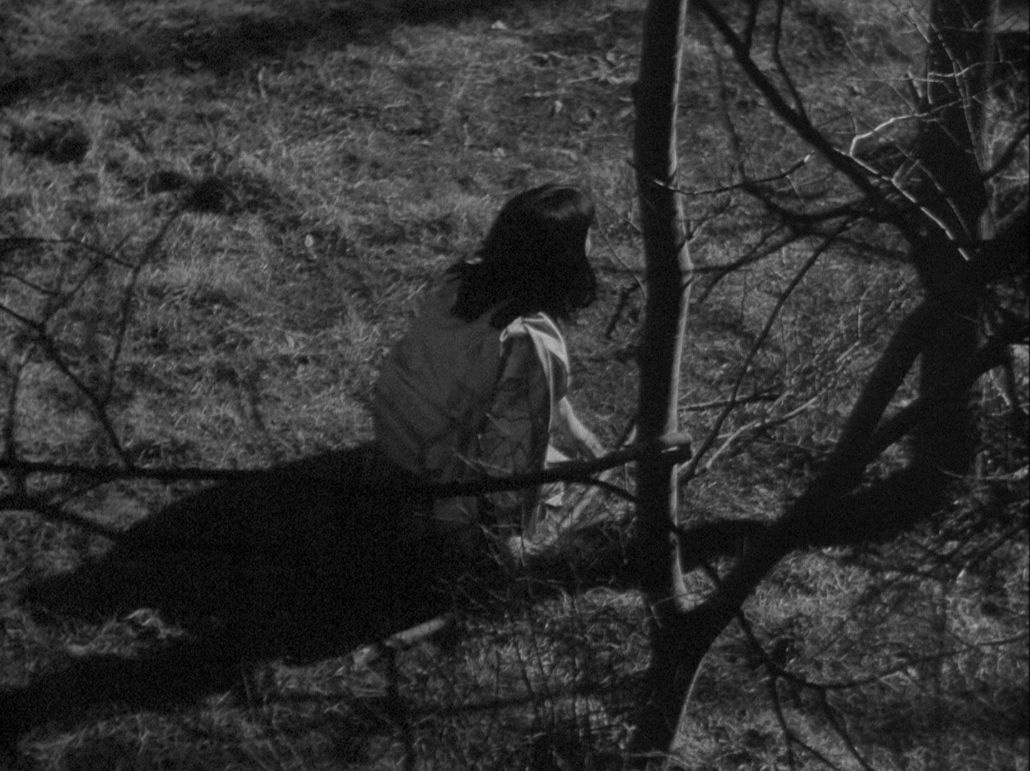 Sansho dayu (1954), wide, 1.34:1 — film still
