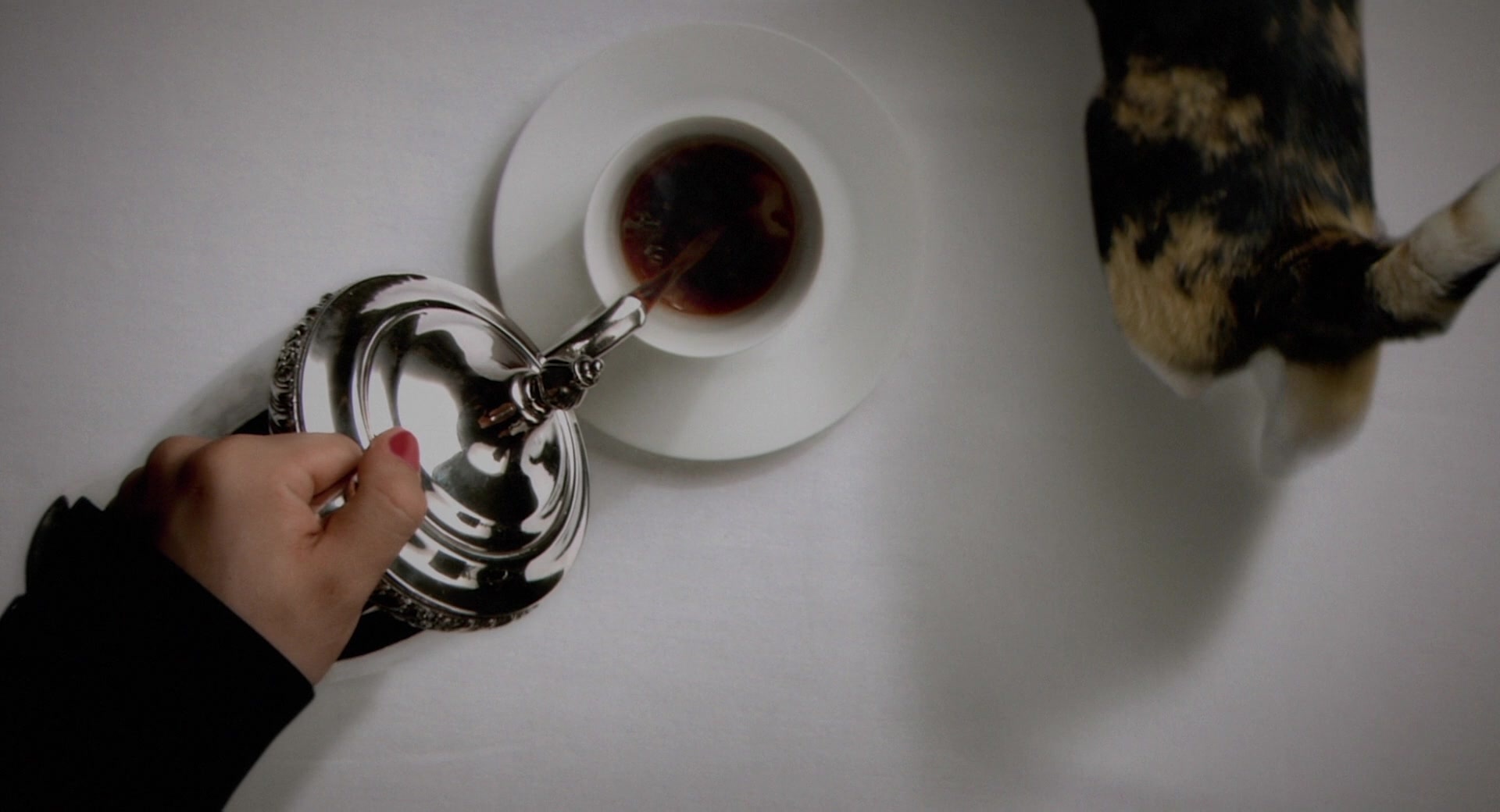 May December (2023), unknown, 1.85:1 — film still