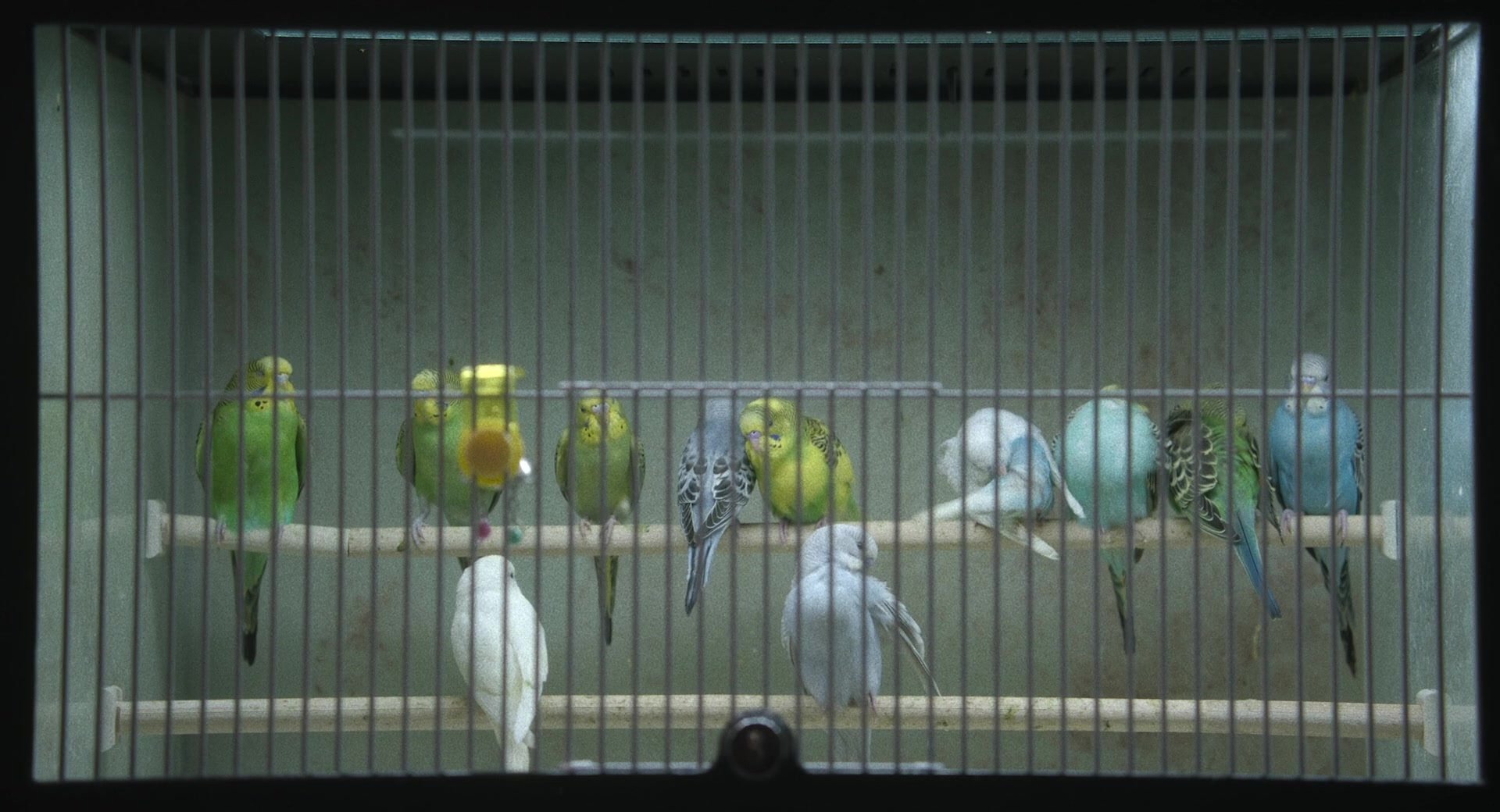 May December (2023), wide, 1.85:1 — film still