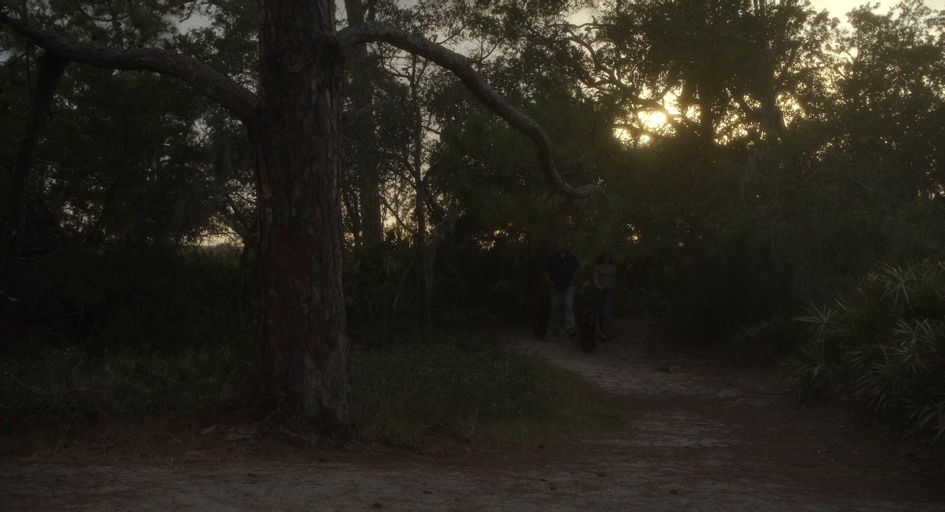 May December (2023), wide, 1.85:1 — film still