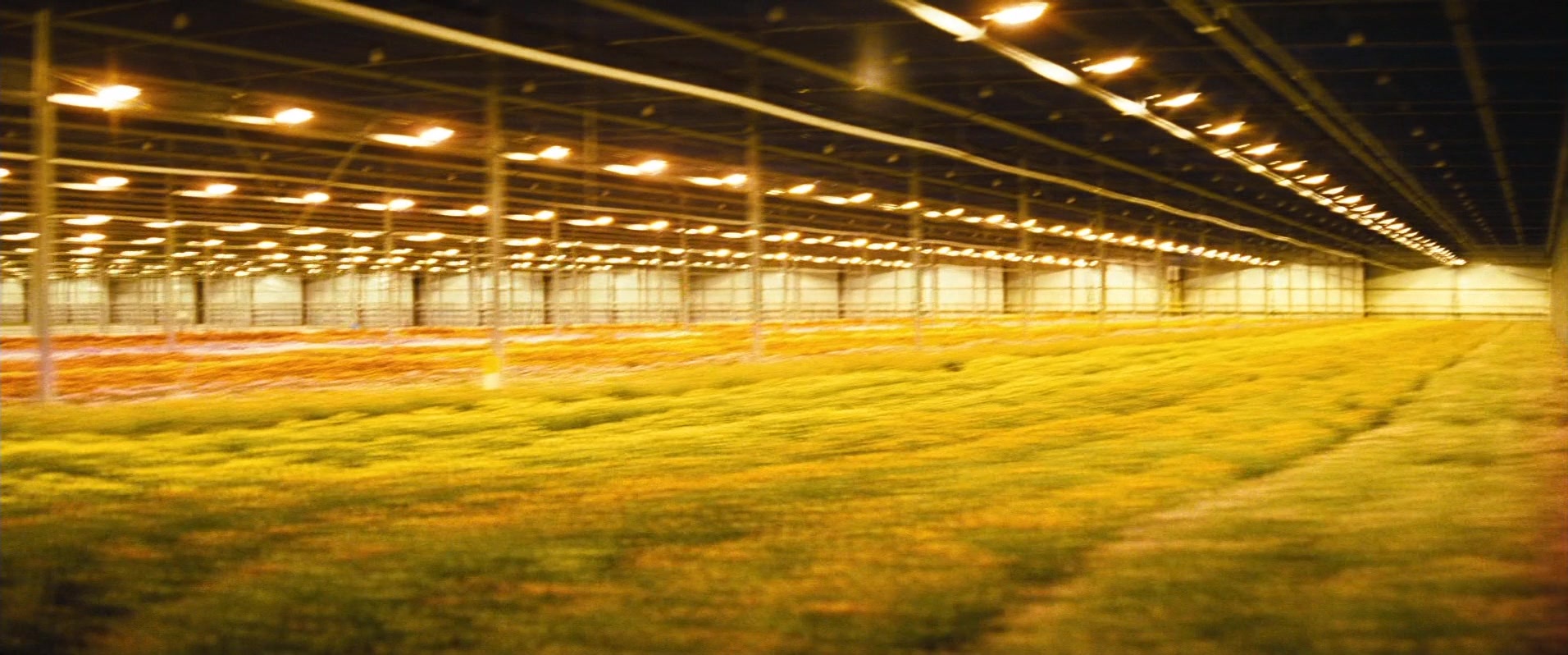 Layer Cake (2004), wide, 2.40:1 — film still