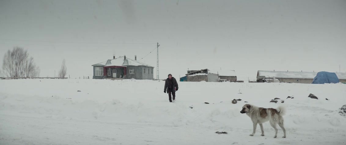 Kuru Otlar Üstüne (2023), wide, 2.39:1 — film still