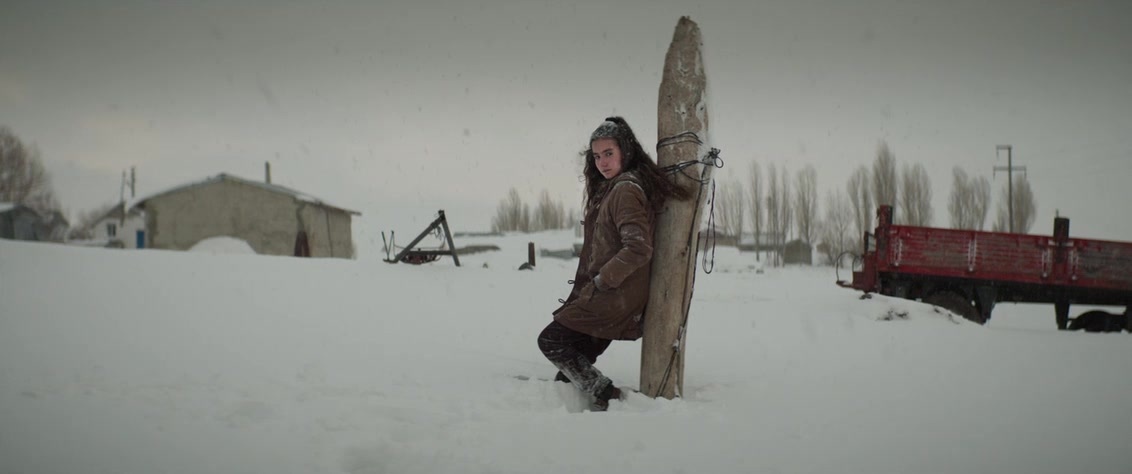 Kuru Otlar Üstüne (2023), wide, 2.39:1 — film still