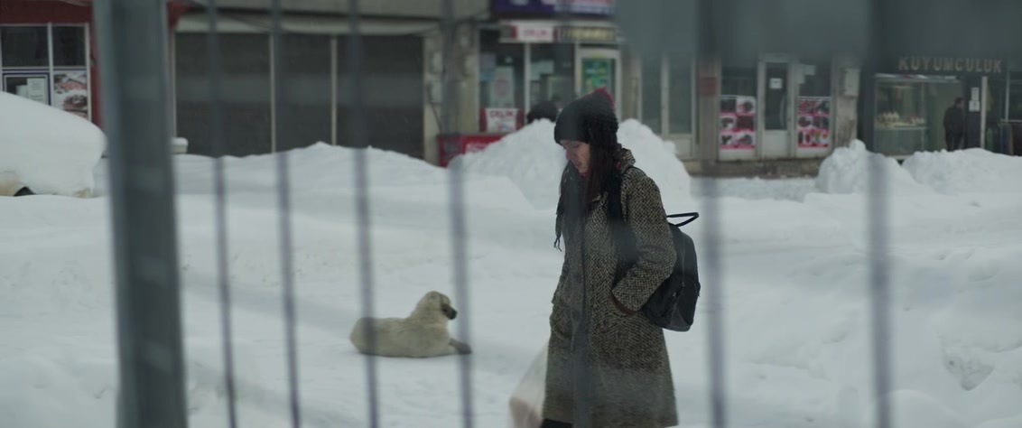 Kuru Otlar Üstüne (2023), unknown, 2.39:1 — film still