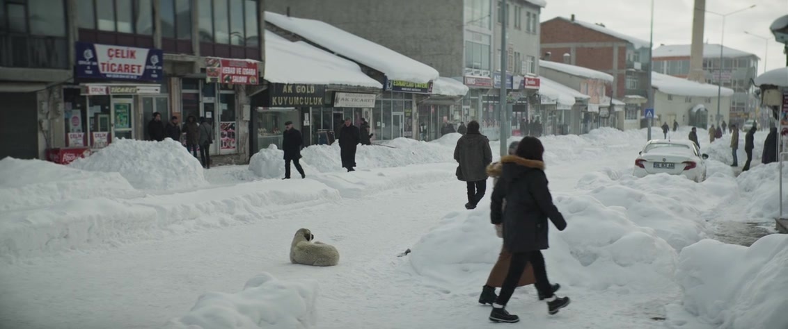 Kuru Otlar Üstüne (2023), wide, 2.39:1 — film still