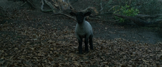 Wide shot frame from Jack the Giant Slayer — standing, bed, animal