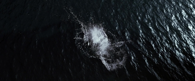 Wide shot frame from Jack the Giant Slayer — water, sea, marine mammal