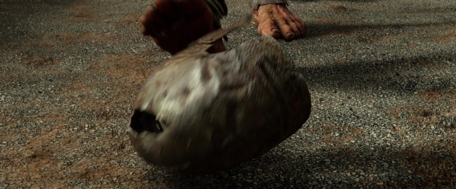Wide shot frame from Jack the Giant Slayer — standing, animal, bird