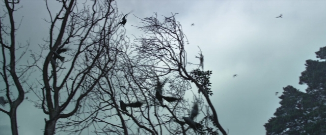 Wide shot frame from Jack the Giant Slayer — bird