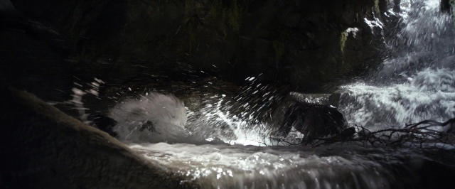 Wide shot frame from Jack the Giant Slayer — animal, water, forest