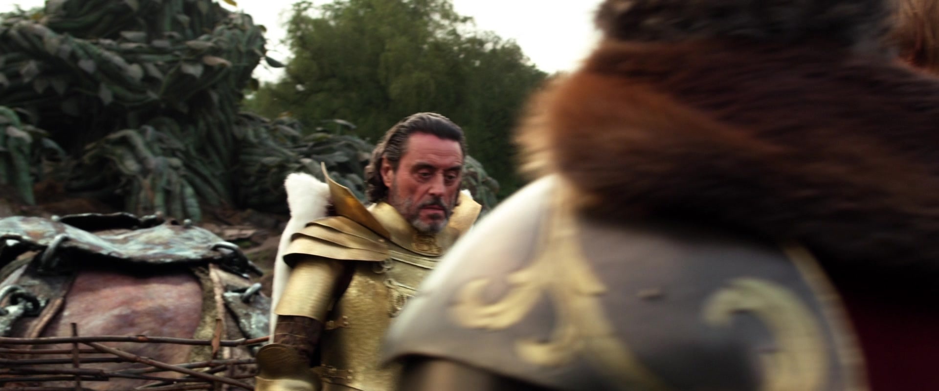 Jack the Giant Slayer (2013), wide, 2.40:1 — film still