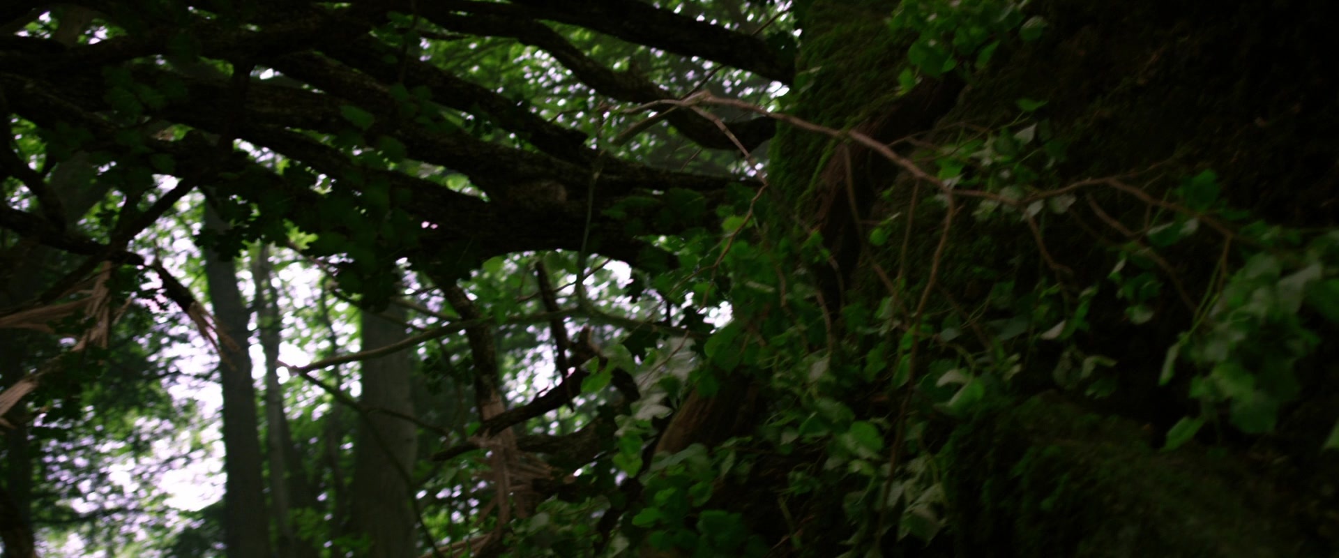 Jack the Giant Slayer (2013), wide, 2.40:1 — film still