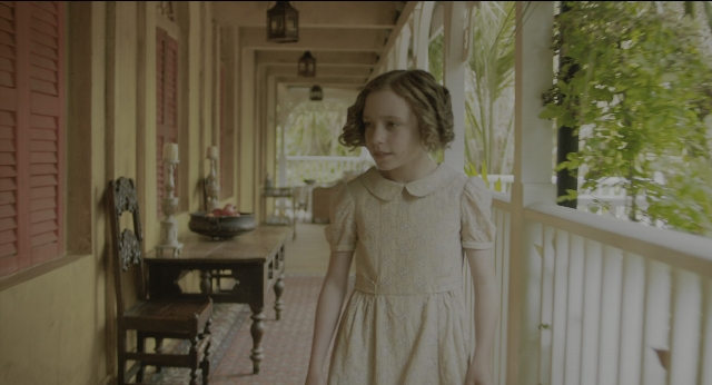 seria-1178886.jpg