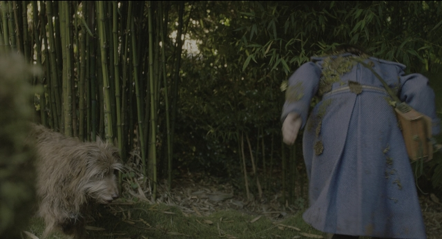 Wide shot frame from The Secret Garden — walking, animal, dog