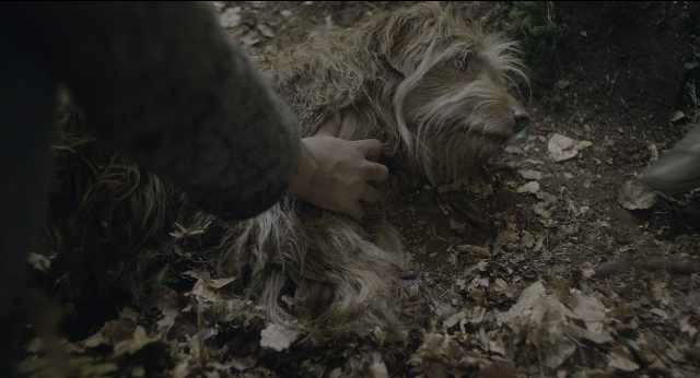 Wide shot frame from The Secret Garden — dog, coat, hand