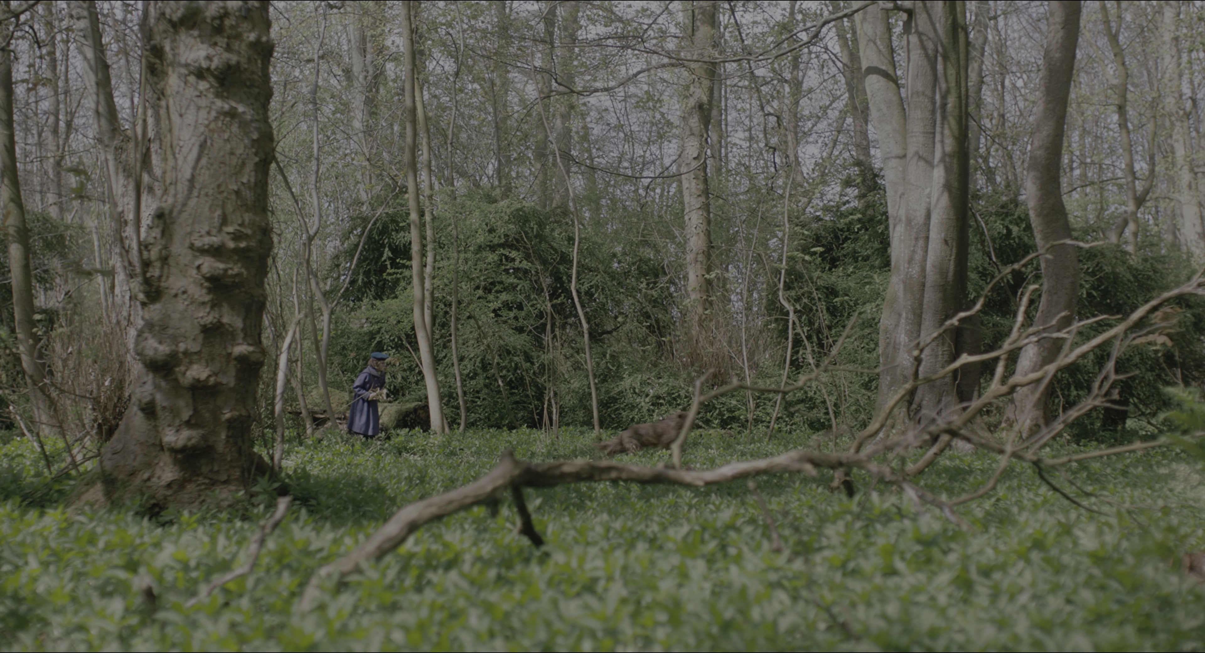 The Secret Garden (2020), wide, 1.85:1 — film still